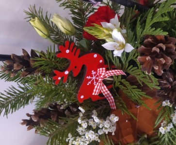 1-CT avec rennex300-124045.jpg